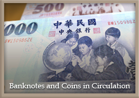 Banknotes and Coins in Circulation